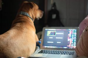 Lilly Kubit’s personal setup during the two week at-home class sessions in December, featuring her dog and laptop. Photo by Lilly Kubit