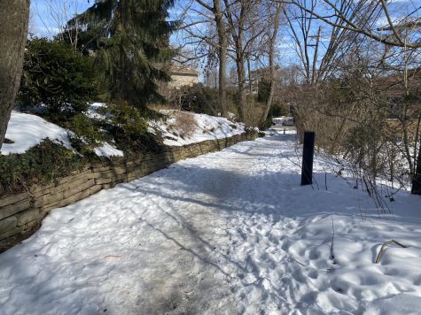 The path from Shadyside campus to Shady Avenue covered in snow and ice due to lack of shoveling in early February. Photo Credit: Lilly Kubit