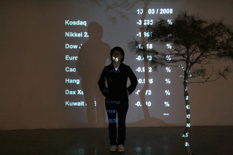 Soun-Gui Kim, Stock Garden, installation view of Stock+Garden, Gallery 175, Seoul, 2008, Korea,