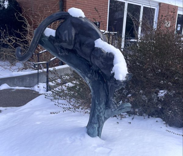 The cougar statue outside of Café Rachel stands covered in a blanket of snow after a morning storm.