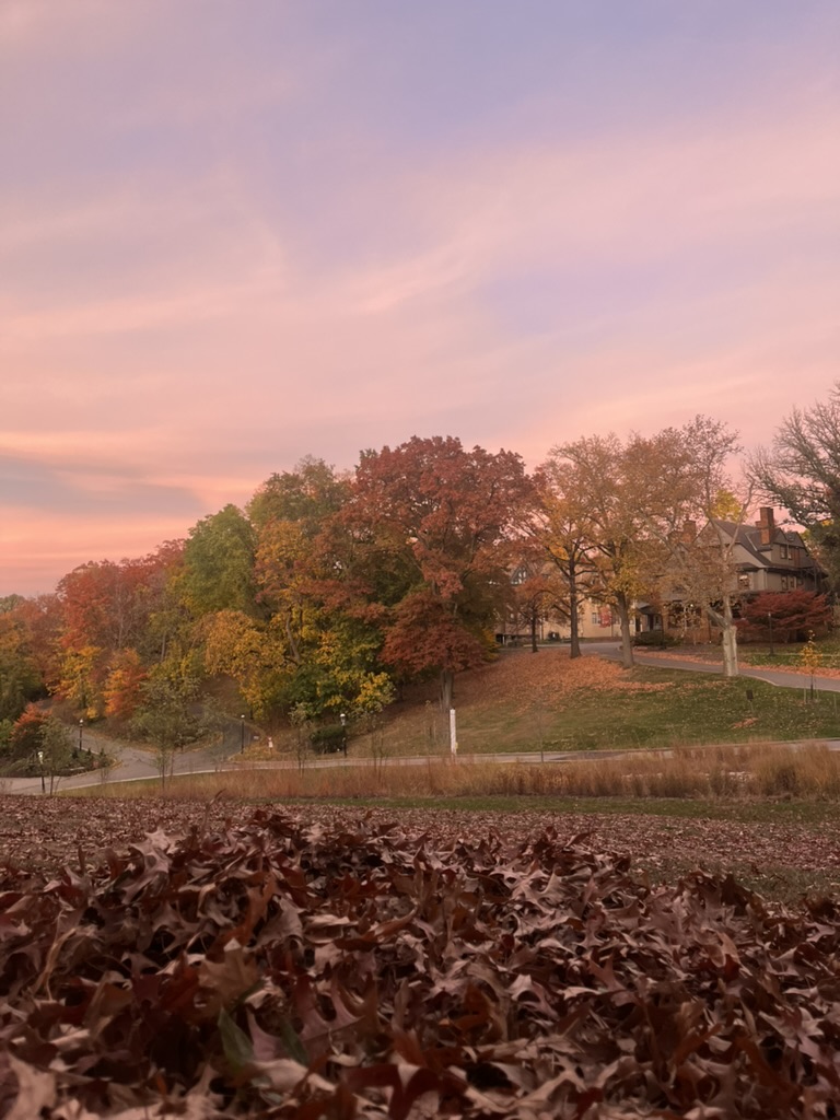 The sunset displays over Chapel Hill.