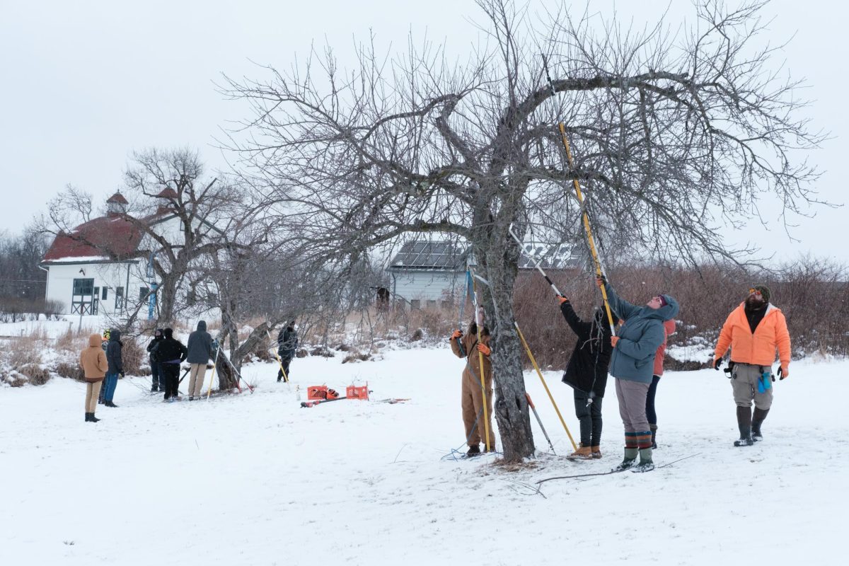 Chatham’s farm team, collaborating with Wild Miller Tree Service, held a workshop Feb. 21 to teach students how to properly prune and care for the old apple trees in the orchard at the Eden Hall campus.