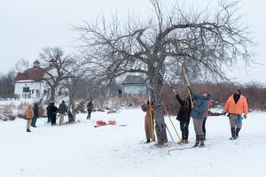 Students at the workshop split into groups to practice trimming two of the apple trees.