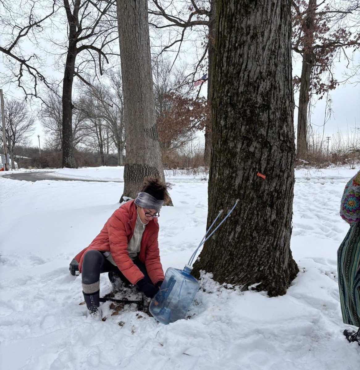 Farm manager Indira Alcantara taps a maple tree on Eden Hall campus. 