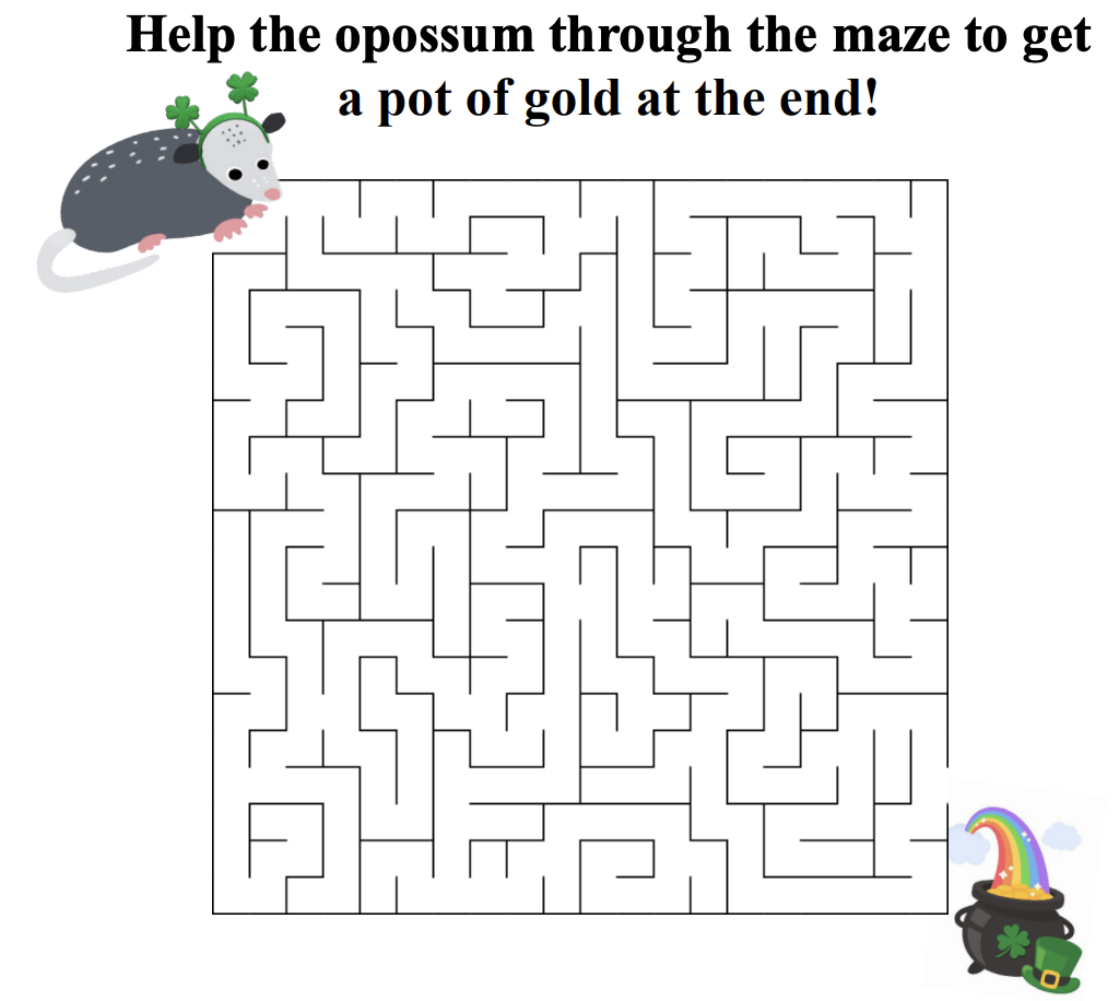 Chatham Communiqué opossum maze