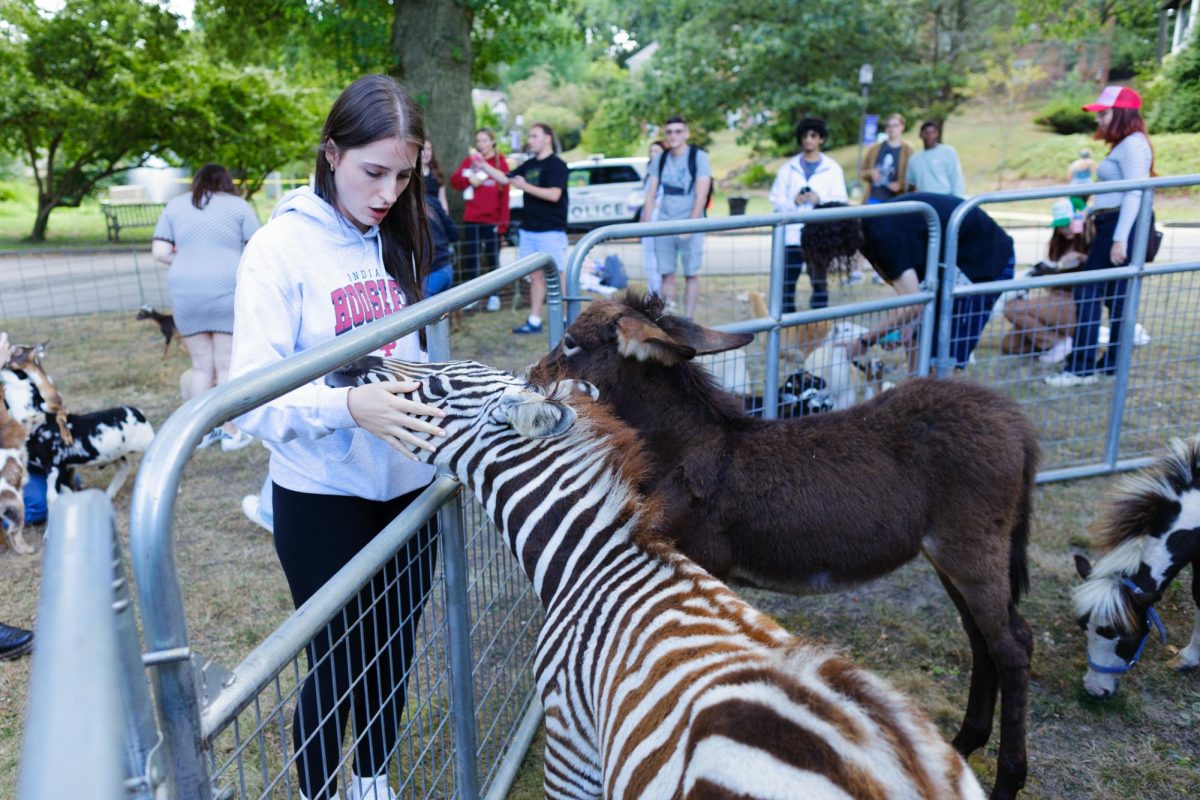 Amanda Smith ‘26 pets a zebra at the petting zoo.