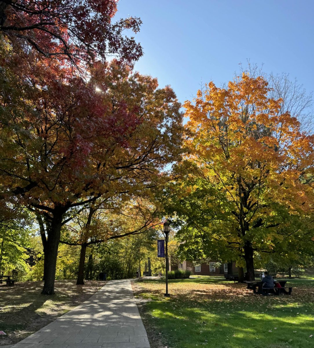 Fall foliage lines a walkway on Chatham's Shadyside campus.