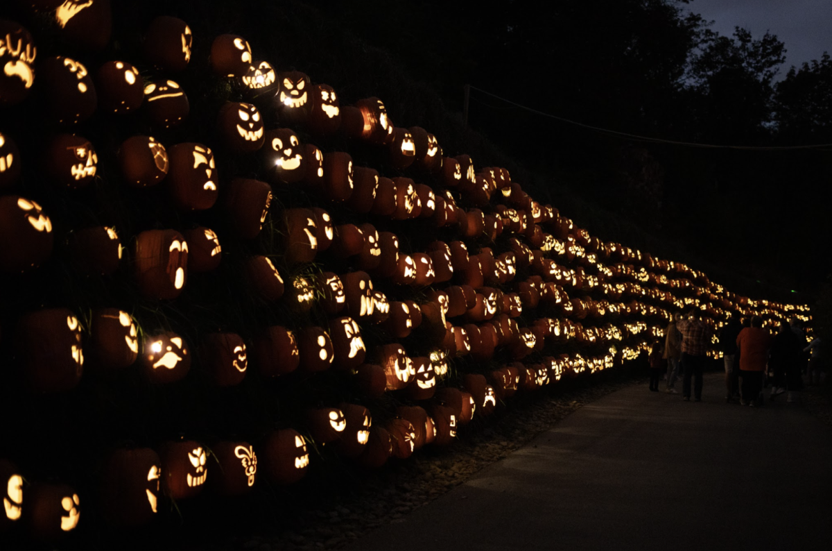 A wall of jack-o-lanterns runs along the path down from the Pittsburgh Aquarium at the Jack O’Lantern Extravaganza at the Pittsburgh Zoo.
