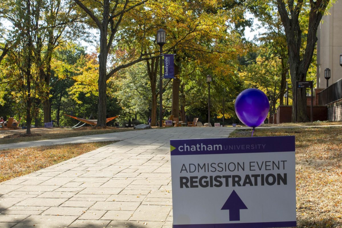 Rudy Bilger ‘28 is an employee who works as a student ambassador in the Office of Admissions at Chatham.