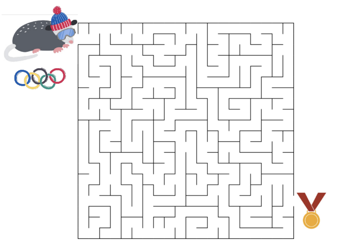 Winter olympics maze