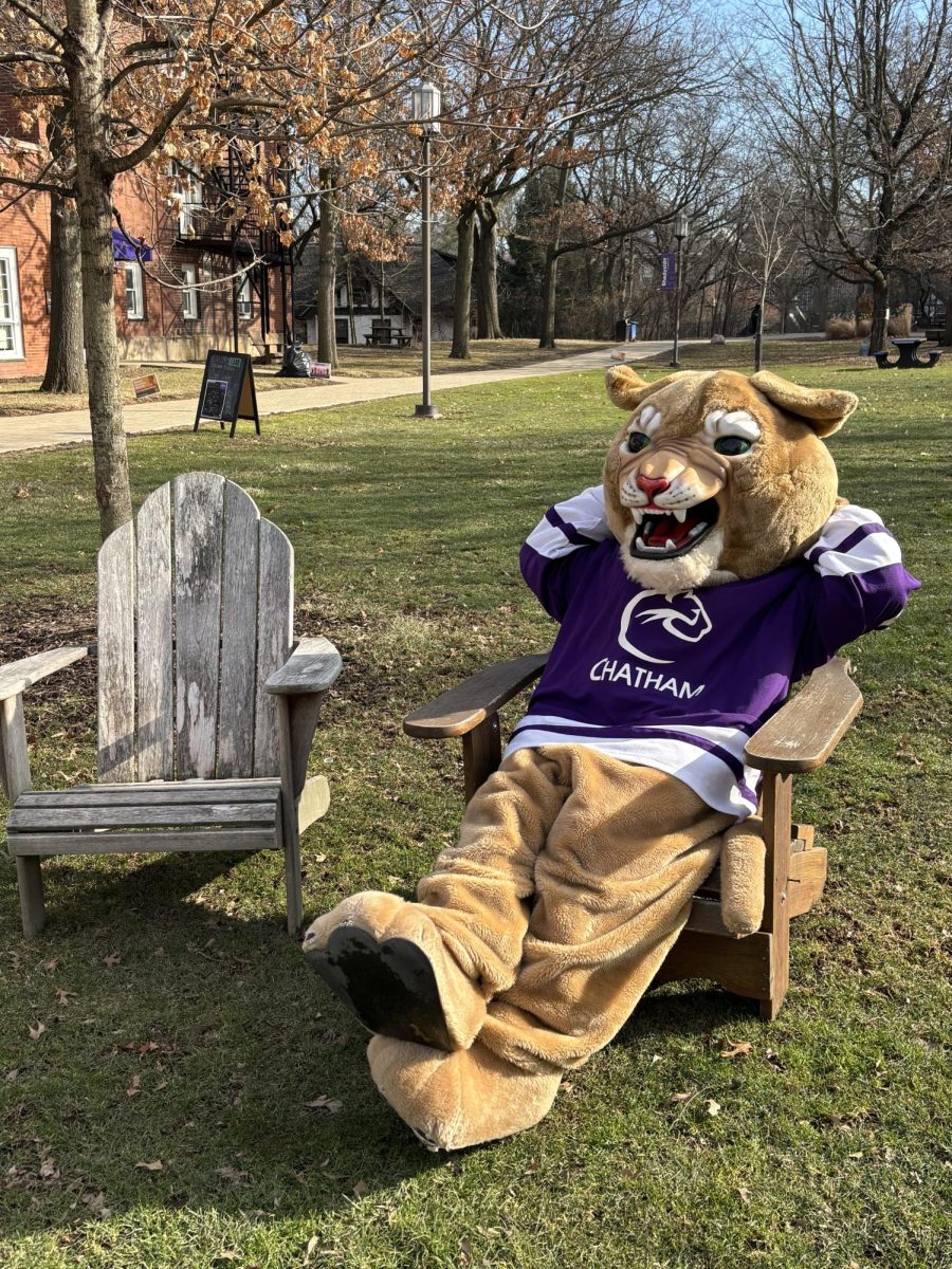 Carson the Cougar lounges in the sun on the quad. 